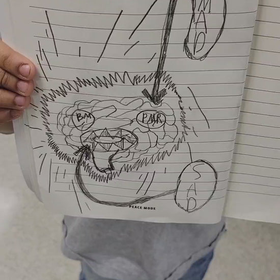 Student shares his Calm Wolf Protocol drawing of how his brain looked earlier when felt mad and sad.